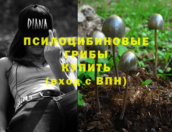 соль курить ск Арсеньев