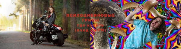 соль курить ск Арсеньев
