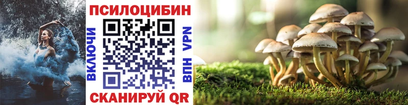 купить наркотик  Североуральск  Галлюциногенные грибы Magic Shrooms 